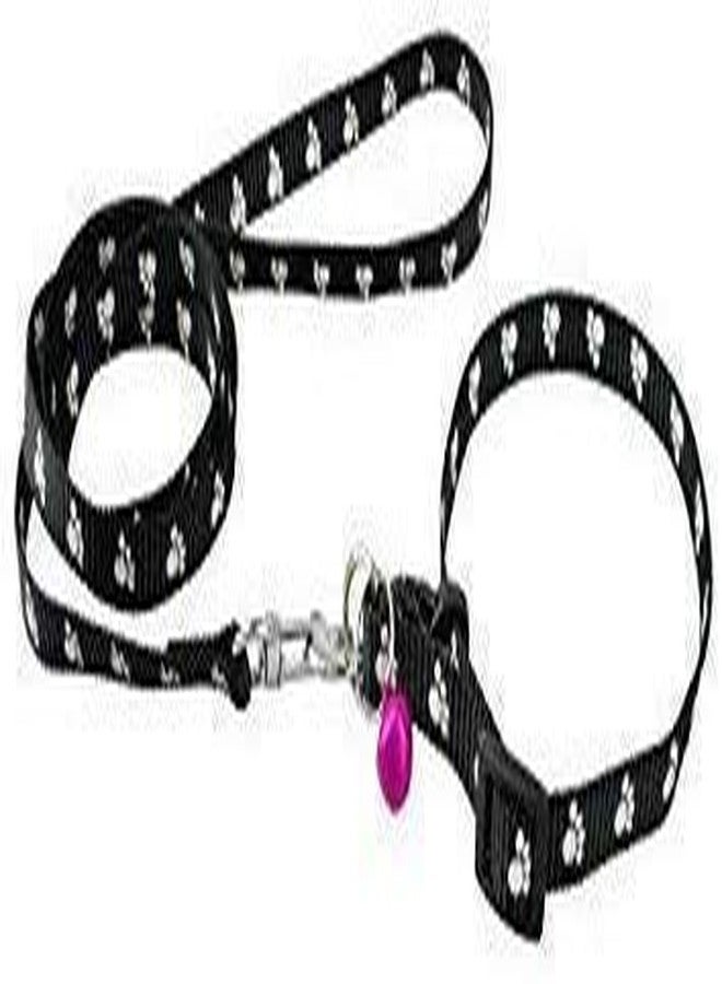 Pups&Pets Nylon Paw Print 10MM Collar Set for Puppies and Cats, Black - 10 MM for Small Pets Only - Image 1